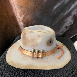 Shot Through the Hat - You're To Blame